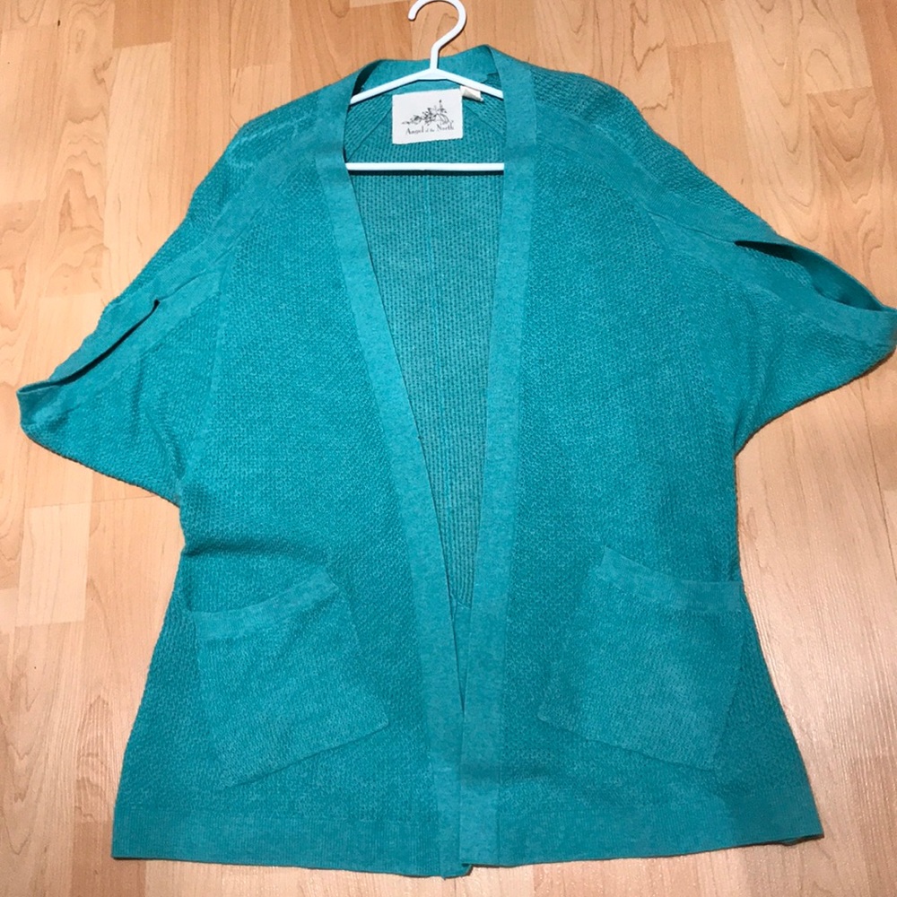 Anthropologie Angel of the North sweater (small)